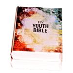 CATALOGUE-ARTBOARDS.psbESV-YOUTH-BIBLE.png
