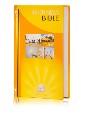 English Bibles